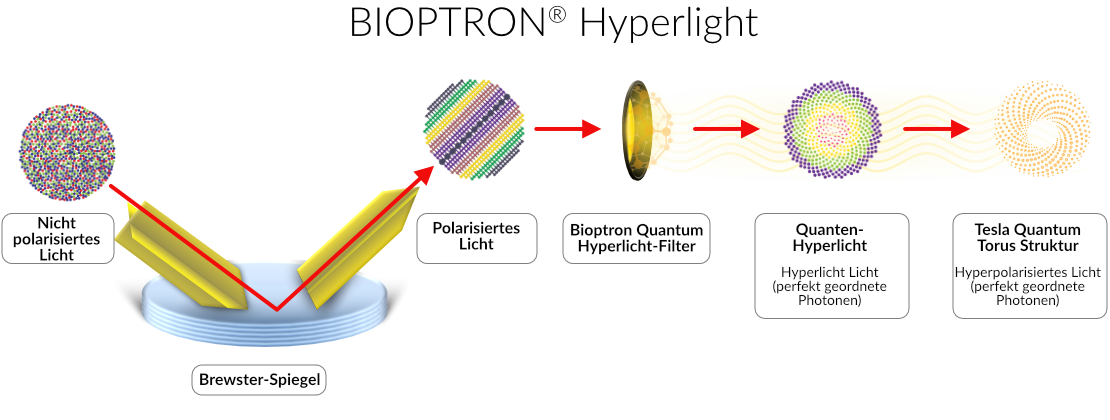 DiagramHyperpolarizedLight-XL-DE